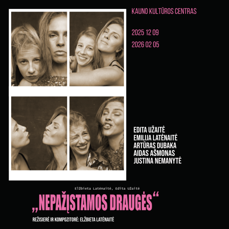 Spektaklis „Nepažįstamos draugės“