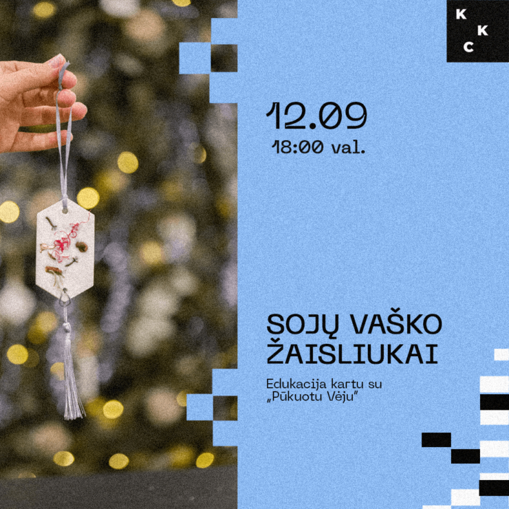 Sojų vaško žaisliukų edukacija kartu su „Pūkuotas Vėjas“